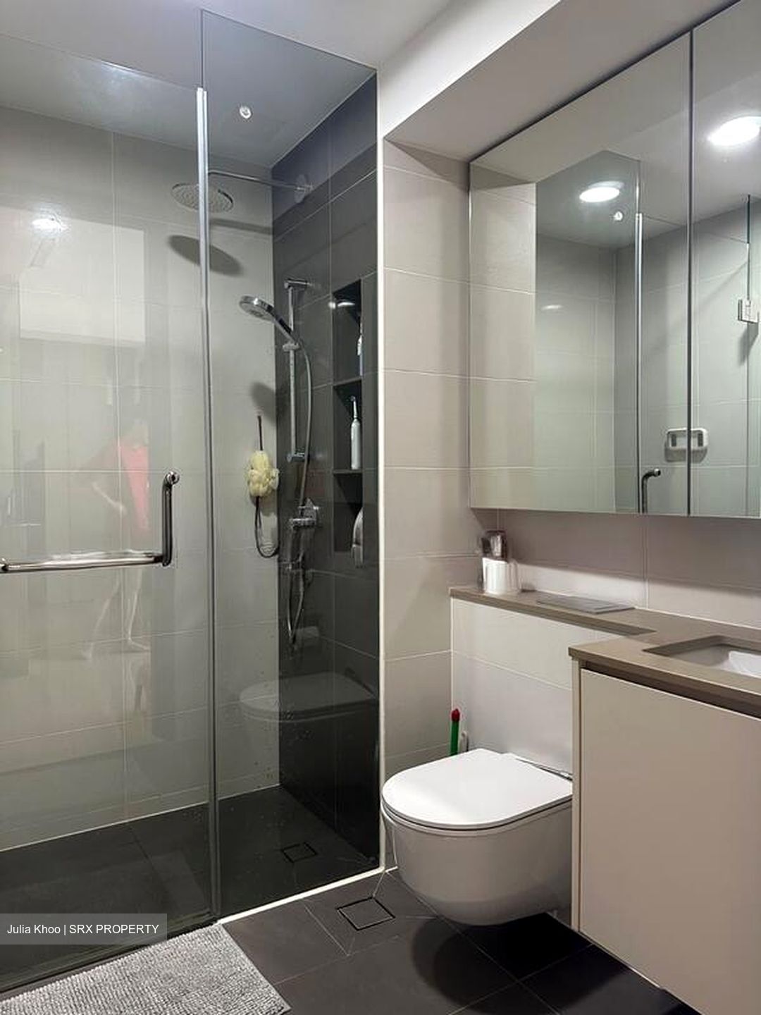 The Gazania (D19), Condominium #497108651